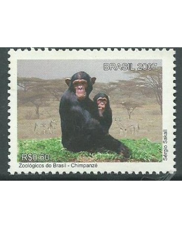 C2716 ZOOLÓGICOS,CHIMPANZÉ 2007 - 10.886 Mint