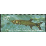 C2214 Dourado Cachorro Mint  FC01049