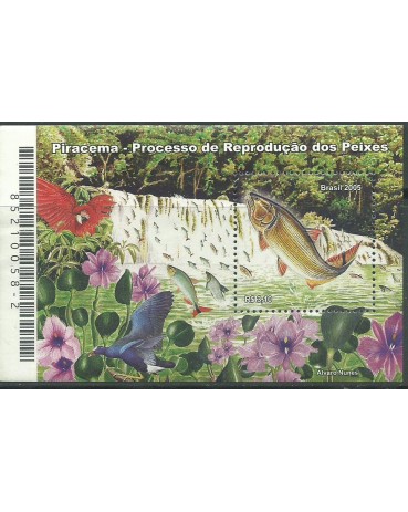 B139 PIRACEMA MINT 11.567 
