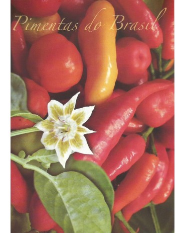 Pimentas Brasileiras - 2015 ECT 12.050