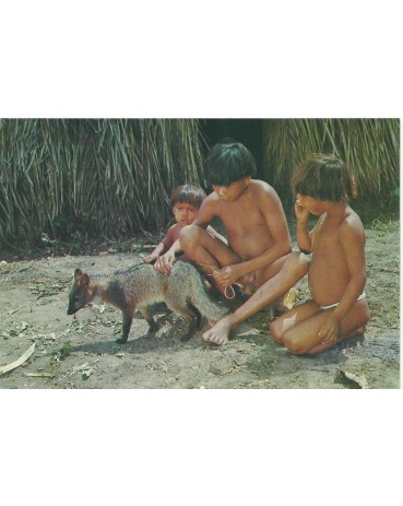 Meninos Iaualapiti com Raposa Doméstica - Reserva do Xingu 12.241