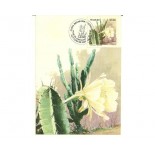 1983 M. Postal Oficial Nº84 , ano 1983 - Mandacaru - CBC Feira de Santana e Fortaleza  1255