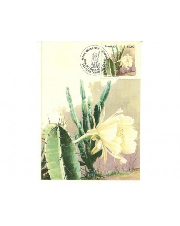1983 M. Postal Oficial Nº84 , ano 1983 - Mandacaru - CBC Feira de Santana e Fortaleza  1255