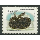 C2368/2001 Crotalus durissus Mint  1296