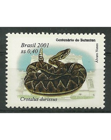 C2368/2001 Crotalus durissus Mint  1296