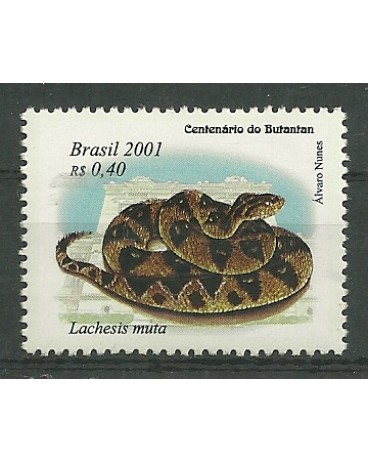 C2370 Lachesis muta Mint