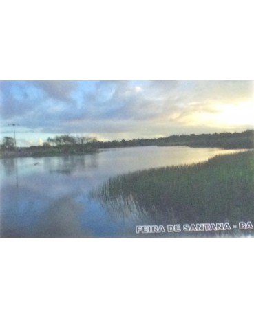 Feira de Santana - BA, Parque da Cidade Frei José Monteiro Sobrinho, 14.845
