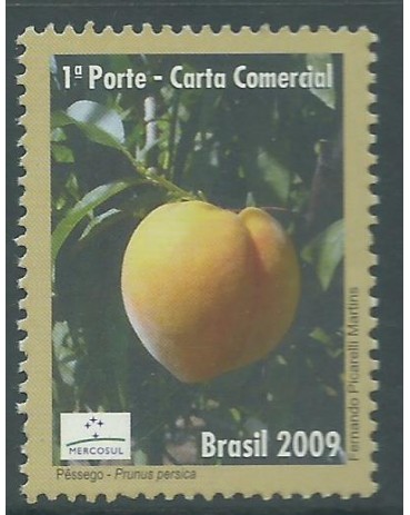 C2826/2009 Pêssego 15.024 Mint
