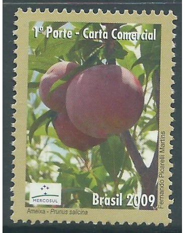 C2827/2009 Ameixa 15.025 Mint