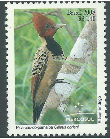 C2767 Pica-Pau 15.158 Mint