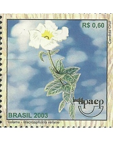 C2513 Velame Mint