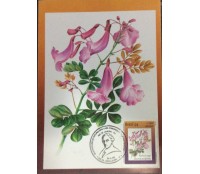 1994 Máx. Postal 182 Caroba 15.894