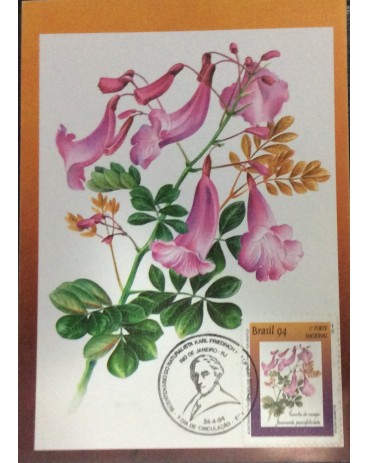 1994 Máx. Postal 182 Caroba 15.894