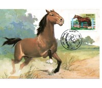 1985 Máximo Postal  107  Cavalo campolina 16.277
