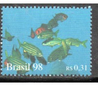 C2102 Oceanos - Cardume 16.413 M