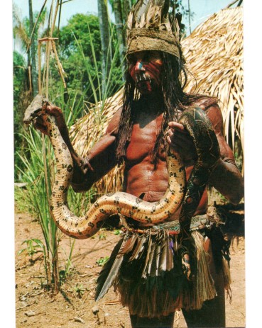 Índios do Brasil - Tribo dos Ipixunas, Região Amazônicas 16.454