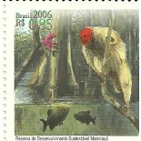 C2654 Mamirauá Mint