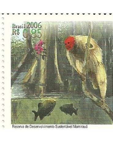 C2654 Mamirauá Mint