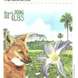 C2655 Veadeiros Mint
