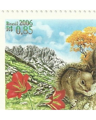C2656 Itatiaia Mint