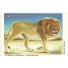 C2715 Leão Mint