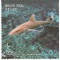 C2669 Cola-fina Mint