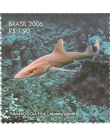C2669 Cola-fina Mint