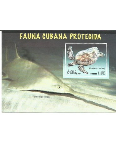 Tartarugas Cuba fauna cubana protegida  N 17.254