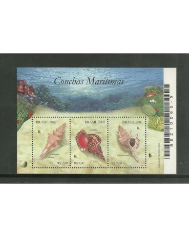B145 Conchas Marítimas ,Mint  1719  