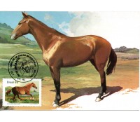 1985 Máximo Postal 109 Cavalo de Raças Brasileira, Mangalarga Marchador 24.195