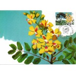 1990 Máximo Postal 138 Sociedade Botânica NCz$13,00 - 24.200