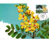 1990 Máximo Postal 138 Sociedade Botânica NCz$13,00 - 24.200
