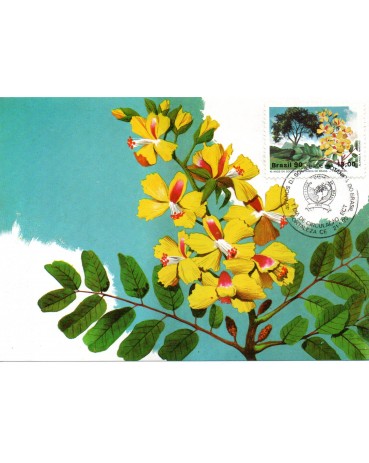1990 Máximo Postal 138 Sociedade Botânica NCz$13,00 - 24.200