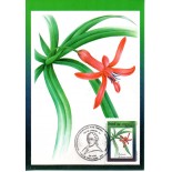 1994 Máx. Postal 184 Preservação da Flora Barbacenia 24.217