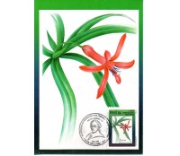 1994 Máx. Postal 184 Preservação da Flora Barbacenia 24.217