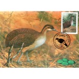 1995 Máximo Postal 193 Preservação da fauna "Macuco" 24.224