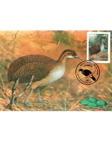 1995 Máximo Postal 193 Preservação da fauna "Macuco" 24.224