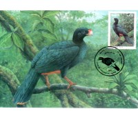 1995 Máximo Postal 194 Preservação da Fauna "Mutum" 24.225