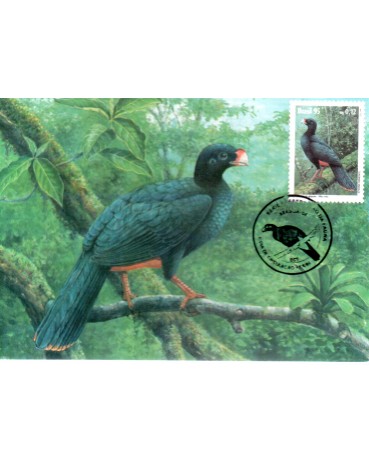 1995 Máximo Postal 194 Preservação da Fauna "Mutum" 24.225