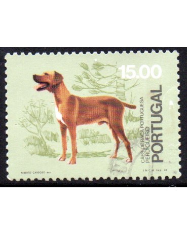 1981 Cães de Raça Portuguesa Perdigueiro 24.527 Carimbado 