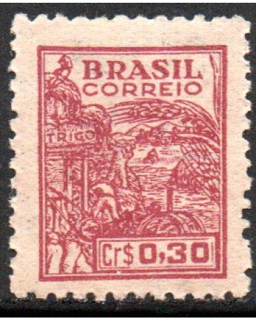 R465 Trigo "Netinha" 24.653 N