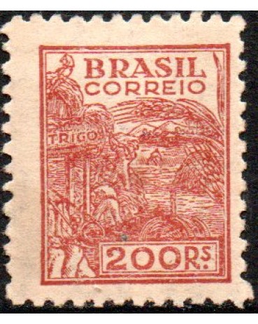 R389 Trigo "Netinha" 24.654 N