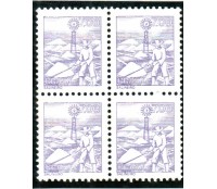R569 Quadra Salineiro 25.303 Noiva com goma