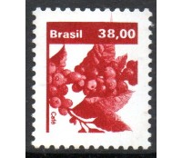 R615 Café 25.321 Mint