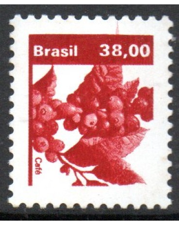 R615 Café 25.321 Mint