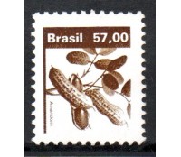 R619 Amendoim 25.359 Mint