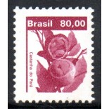 R622 Castanha do Pará 25.361 Novo