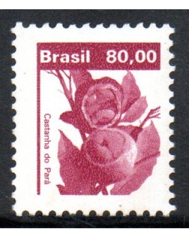 R622 Castanha do Pará 25.361 Novo