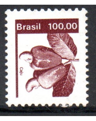 R623 Caju 25.362 Novo