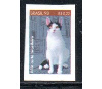 R764 Gato Pelo Curto Brasileiro 25.486
